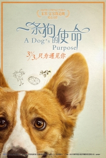 一条狗的使命电影海报